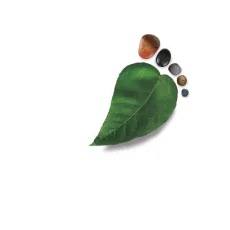Parque Arví